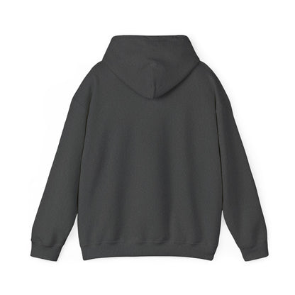 "Yes I’m Expensive Now Move" Pullover Hoodie – $45
